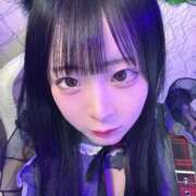 ヒメ日記 2026/03/01 15:16 投稿 ちわわ 完全密室 無抵抗