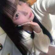 ヒメ日記 2026/03/13 14:14 投稿 ちわわ 完全密室 無抵抗