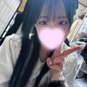 ヒメ日記 2026/03/15 14:30 投稿 ちわわ 完全密室 無抵抗