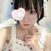 ヒメ日記 2026/03/19 18:16 投稿 ちわわ 完全密室 無抵抗