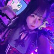 ヒメ日記 2026/04/03 12:42 投稿 ちわわ 完全密室 無抵抗