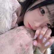 ヒメ日記 2026/04/03 19:53 投稿 ちわわ 完全密室 無抵抗