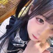 ヒメ日記 2026/04/04 14:26 投稿 ちわわ 完全密室 無抵抗