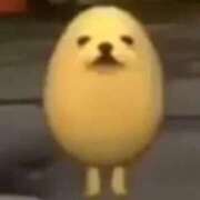 ヒメ日記 2026/04/04 23:20 投稿 ちわわ 完全密室 無抵抗