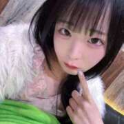 ヒメ日記 2026/04/06 14:55 投稿 ちわわ 完全密室 無抵抗