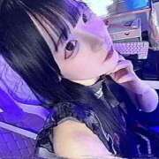 ヒメ日記 2026/04/11 00:06 投稿 ちわわ 完全密室 無抵抗