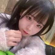 ヒメ日記 2026/04/14 02:11 投稿 ちわわ 完全密室 無抵抗