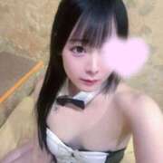 ヒメ日記 2026/04/14 16:52 投稿 ちわわ 完全密室 無抵抗