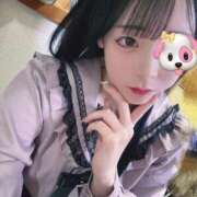 ヒメ日記 2026/04/23 14:19 投稿 ちわわ 完全密室 無抵抗