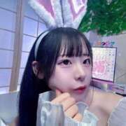 ヒメ日記 2026/04/24 16:28 投稿 ちわわ 完全密室 無抵抗