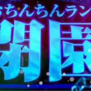 ヒメ日記 2026/04/30 23:02 投稿 ちわわ 完全密室 無抵抗
