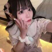ヒメ日記 2026/05/02 13:52 投稿 ちわわ 完全密室 無抵抗
