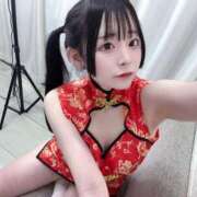 ヒメ日記 2026/05/20 14:30 投稿 ちわわ 完全密室 無抵抗