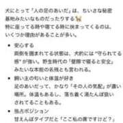 ヒメ日記 2026/05/30 18:20 投稿 ちわわ 完全密室 無抵抗