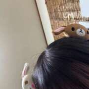 ヒメ日記 2026/06/02 14:53 投稿 ちわわ 完全密室 無抵抗
