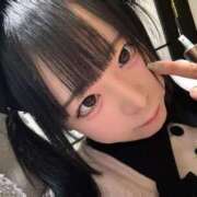 ヒメ日記 2026/06/09 14:27 投稿 ちわわ 完全密室 無抵抗