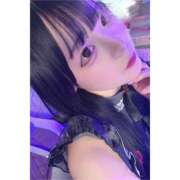 ヒメ日記 2026/06/14 16:48 投稿 ちわわ 完全密室 無抵抗