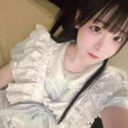ヒメ日記 2026/06/26 15:54 投稿 ちわわ 完全密室 無抵抗