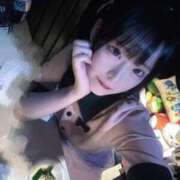 ヒメ日記 2026/07/18 14:30 投稿 ちわわ 完全密室 無抵抗
