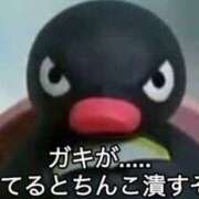 ヒメ日記 2026/07/29 20:09 投稿 ちわわ 完全密室 無抵抗