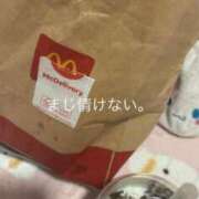 ちわわ 食べてばかりの人生なんだ 完全密室 無抵抗