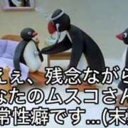 ヒメ日記 2026/09/19 23:32 投稿 ちわわ 完全密室 無抵抗