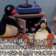 ヒメ日記 2026/09/22 23:23 投稿 ちわわ 完全密室 無抵抗