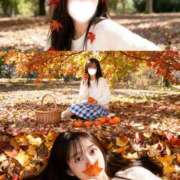 ヒメ日記 2026/01/15 10:00 投稿 まる ドンファン