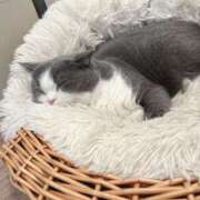 ゆゆ ぬくぬくしたい(߹ㅁ߹)♥︎ モアグループ川越人妻花壇