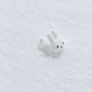 ヒメ日記 2026/01/11 09:00 投稿 ゆゆ モアグループ川越人妻花壇