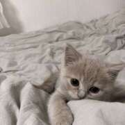 ヒメ日記 2026/02/24 18:20 投稿 ゆゆ モアグループ川越人妻花壇