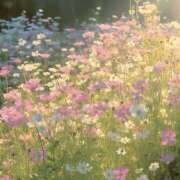 ゆゆ 10:30から🌟 モアグループ川越人妻花壇