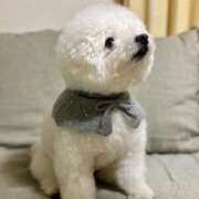 あみ お休みします 妻天 日本橋店