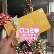 ヒメ日記 2025/12/17 13:46 投稿 せいら 東京人妻セレブリティ（ユメオト）