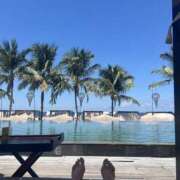 せいら 次回出勤のお知らせ 東京人妻セレブリティ（ユメオト）