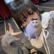 ヒメ日記 2026/02/18 17:26 投稿 ここみ お姉さんSelect