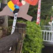 ヒメ日記 2026/06/19 13:30 投稿 しょうこ 性腺熟女100％本店（デリヘル市場）
