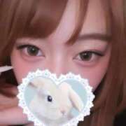 ヒメ日記 2026/01/29 21:02 投稿 つむ 恋するバニー