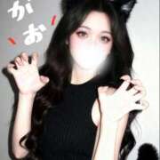 ヒメ日記 2026/02/12 09:02 投稿 つむ 恋するバニー