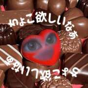 ヒメ日記 2026/02/12 15:02 投稿 つむ 恋するバニー