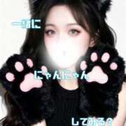 ヒメ日記 2026/02/24 14:01 投稿 つむ 恋するバニー