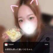 ヒメ日記 2026/02/26 08:00 投稿 つむ 恋するバニー