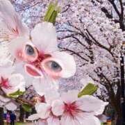 ヒメ日記 2026/03/05 14:00 投稿 つむ 恋するバニー