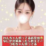 ヒメ日記 2026/03/18 08:02 投稿 つむ 恋するバニー