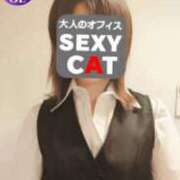 ヒメ日記 2025/12/15 10:59 投稿 北村めぐみ セクシーキャット 神田店