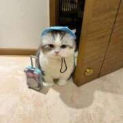 ヒメ日記 2025/12/21 18:07 投稿 北村めぐみ セクシーキャット 神田店