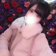 ヒメ日記 2025/12/26 10:31 投稿 mini/みに Muteki Platinum