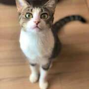 ヒメ日記 2025/12/09 23:31 投稿 かれん ぷるるん小町 京橋店