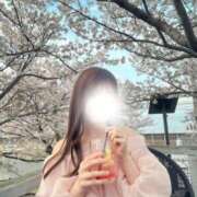 白愛　のあ 明日は1枠空き♡ club BLENDA 天王寺・谷9天高ビル店