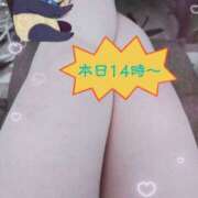 ヒメ日記 2026/01/30 08:46 投稿 長岡彩香 こあくまな熟女たち 大塚店(KOAKUMAグループ)